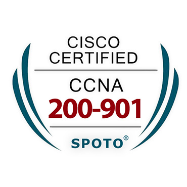 CCNA 200-901 Exam Info-100% Pass With Xpyder Written And Lab Dumps