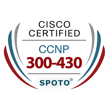 CCNP 300-430 ENWLSI Exam Information